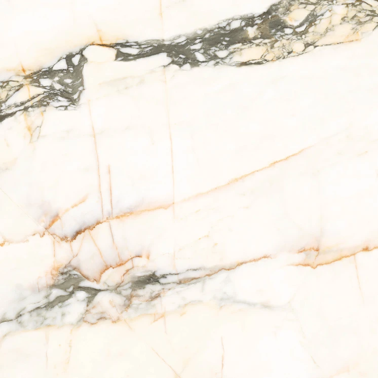 PŁYTKA GRESOWA AE PAZ6 120 LPM 120X120 GAT.1